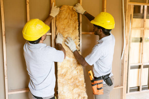 Insulation Repair Services in Warren Af, WY